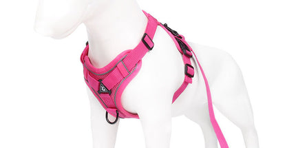 Rose Red Reflective Mesh Dog Harness and Leash Set - Adjustable No-Pull Vest - S
