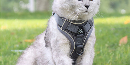 Grey Reflective Mesh Dog Harness and Leash Set - Adjustable No-Pull Vest - M