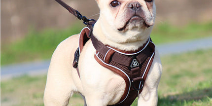 Brown Reflective Mesh Dog Harness and Leash Set - Adjustable No-Pull Vest - L