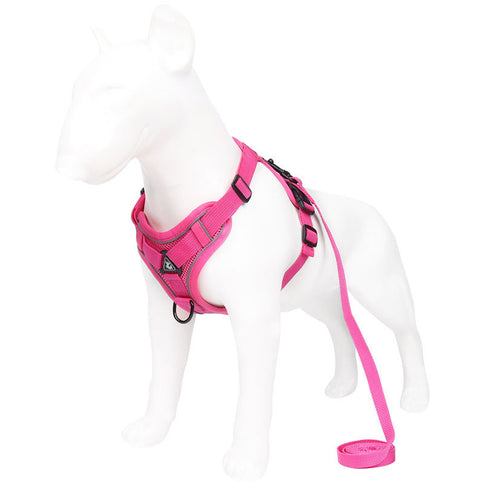 Brown Reflective Mesh Dog Harness and Leash Set - Adjustable No-Pull Vest - L