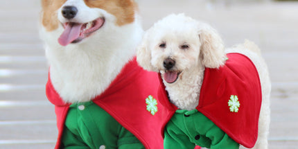 Christmas Dog Costume - Festive Hooded Cape & Green Jumpsuit Outfit (Size : 4XL)