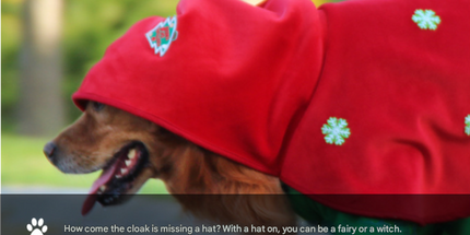 Christmas Dog Costume - Festive Hooded Cape & Green Jumpsuit Outfit (Size : 4XL)