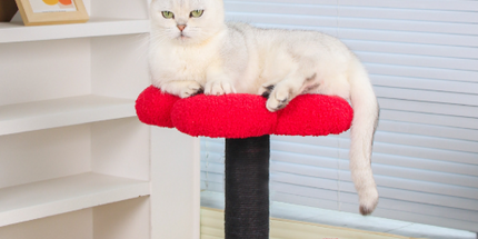 Red and Black Adorable Flower Cat Tree - Plush Perch, Sisal Scratching Post & Spring Ball Toy