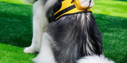 Size L Black and Yellow Ultimate Dog Harness Vest with Backpack - Padded, Reflective & Adjustable for Medium to Large Breeds