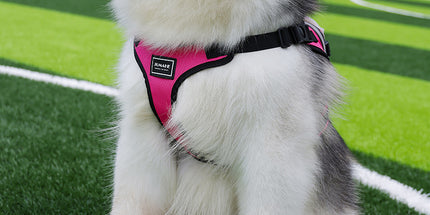 Size S Black and Pink Ultimate Dog Harness Vest with Backpack - Padded, Reflective & Adjustable for Medium Sized Dogs