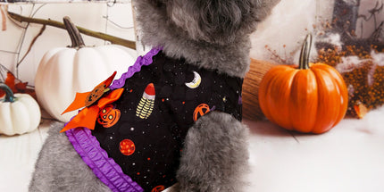 S Halloween Pumpkin Dog Harness Dress - Festive Costume Vest with Leash Ring for Small Dogs