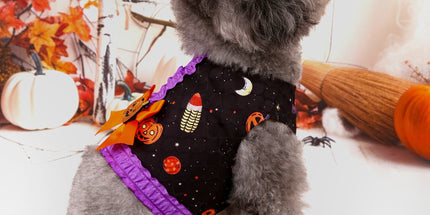L Halloween Pumpkin Dog Harness Dress - Festive Costume Vest with Leash Ring for Small Dogs