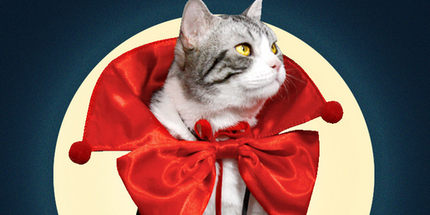 Orange Regal Vampire Pet Cape | Halloween & Christmas Costume Cloak with Bow & Pom-Poms for Dogs and Cats(Size M)