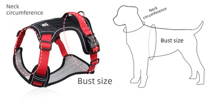 Blue M Adjustable No-Pull Dog Harness and Leash Set - Reflective & Padded Vest for Medium to Large Dogs
