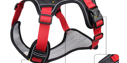 Blue M Adjustable No-Pull Dog Harness and Leash Set - Reflective & Padded Vest for Medium to Large Dogs