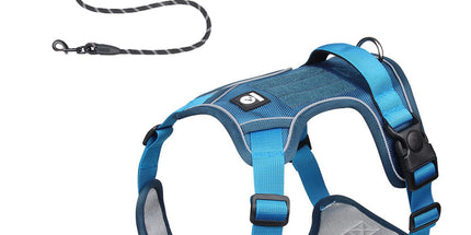 Blue XL Adjustable No-Pull Dog Harness and Leash Set - Reflective & Padded Vest for Medium to Large Dogs