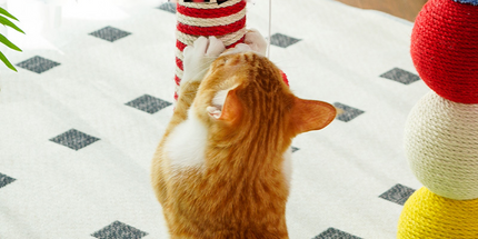 Colorful U-Shaped Cat Tree with Sisal Scratching Posts, Multi-Level Perch & Hanging Ball Toy - Compact Cat Climbing Frame for Small Spaces, Durable Fabric & Wood Construction for Kittens & Adult Cats