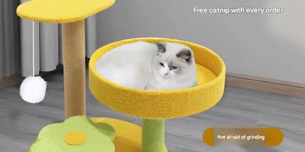Pineapple Pineapple Cat Tree with Scratching Post & Cozy Perch - Multi-Level Cat Tower with Flower Platform and Hanging Ball for Indoor Cats
