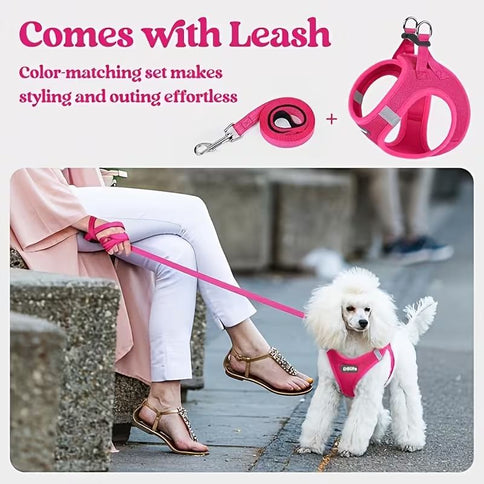 Black Breathable Dog Harness and Leash Set - Adjustable Reflective Pet Vest with Swivel Clip(Size: XS)