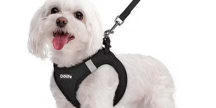 Black Breathable Dog Harness and Leash Set - Adjustable Reflective Pet Vest with Swivel Clip(Size: L)