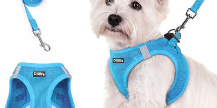 Blue Breathable Dog Harness and Leash Set - Adjustable Reflective Pet Vest with Swivel Clip(Size: XL)