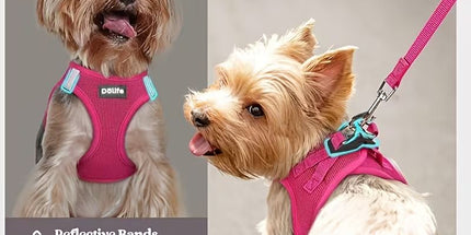Orange Breathable Dog Harness and Leash Set - Adjustable Reflective Pet Vest with Swivel Clip(Size: S)