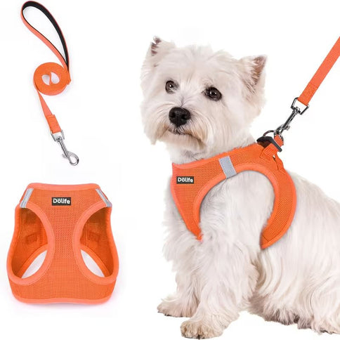 Orange Breathable Dog Harness and Leash Set - Adjustable Reflective Pet Vest with Swivel Clip(Size: L)
