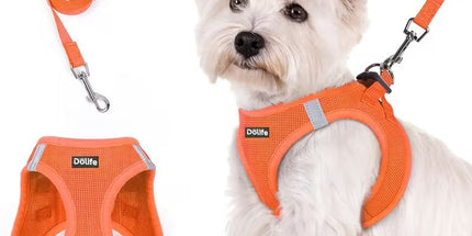 Orange Breathable Dog Harness and Leash Set - Adjustable Reflective Pet Vest with Swivel Clip(Size: XL)