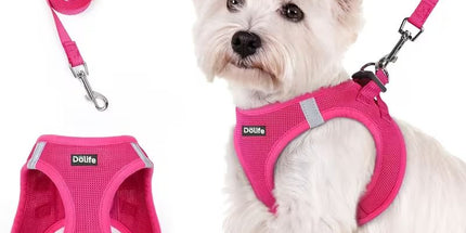 Rose red Breathable Dog Harness and Leash Set - Adjustable Reflective Pet Vest with Swivel Clip(Size: S)