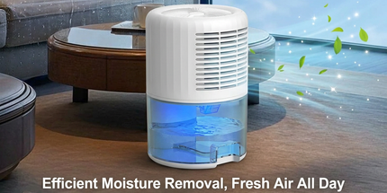 Black Portable Home Quiet Mini Dehumidifier - 2L Large Visible Water Tank, 7-Color Sleep Aid Night Light, Air Purification, Auto Shut-Off and 40W Low Power for Bedroom Studies and Closet (5–70m²)