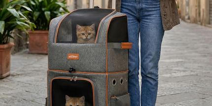 Grey Double Layer Pet Backpack and Trolley Carrier - Foldable Large Capacity Design, Breathable Mesh Window, Zipper Access, Fixing Attachment and Organised Side Storage for Travel and Vet Visits