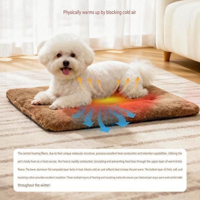 Winter Pet Warmth Bundle - Grey Self Heating Mat 36x50cm & Grey Pet Car Booster Seat 55x40cm Non-Slip Safe Travel Sofa Bed for Small Dogs Cats Indoor Use