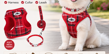 M Size Red Classic Plaid Dog Harness Set- Breathable Mesh Vest and Adjustable Collar,WIith 1.5m Lead for pet, Anti-Pull Design