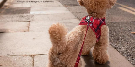 M Size Blue Classic Plaid Dog Harness Set- Breathable Mesh Vest and Adjustable Collar,WIith 1.5m Lead for pet, Anti-Pull Design