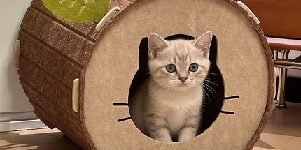 Tree Hollow Felt Cat Cave Cat Bed - Cozy Enclosed Sleeping and Resting Space for Indoor Cats
