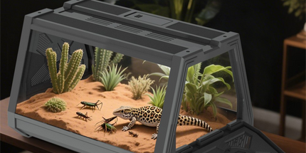 White Desktop Reptile Terrarium Enclosure 35X25.5X22cm with Double Door Opening and Ventilation for Small Reptiles, Amphibians and Plants