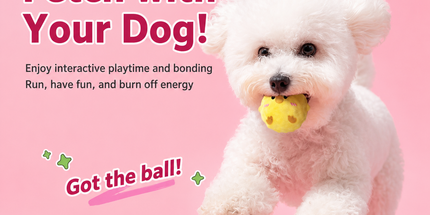3-Piece Cartoon Squeaky Ball Dog Toy Set with TPR Thorn Ball Inside - Soft Plush Pet Chew Toys for Dogs & Cats