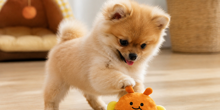 2-Piece Yellow Bee Squeaky Ball Dog Toy Set with TPR Thorn Ball Inside - Soft Plush Pet Chew Toys for Dogs & Cats
