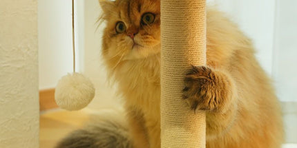 Plush Checkerboard Lamp Style Cat Scratching Post - 53 x 37.5 cm Extra Large Standing Cat Scratcher & Home Decor with Hemp Rope Post, Wide Stable Base and Hanging Ball Toy Tyack eCommerce Solutions