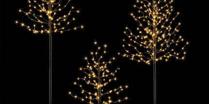 Jingle Jollys 3 Pack LED Christmas Tree Lighted Birch Tree Indoor Outdoor Xmas Decor Warm White