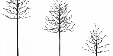 Jingle Jollys 3 Pack LED Christmas Tree Lighted Birch Tree Indoor Outdoor Xmas Decor Warm White