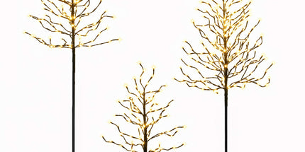 Jingle Jollys 3 Pack LED Christmas Tree Lighted Birch Tree Indoor Outdoor Xmas Decor Warm White