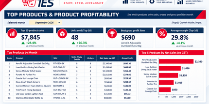 Custom Automated Profitability Dashboard